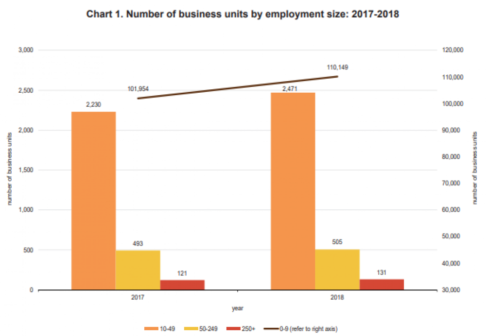 Small entities saw the greatest increase in the number of employees in 2018 compared to 2017 (Photo: National Statistics Office)