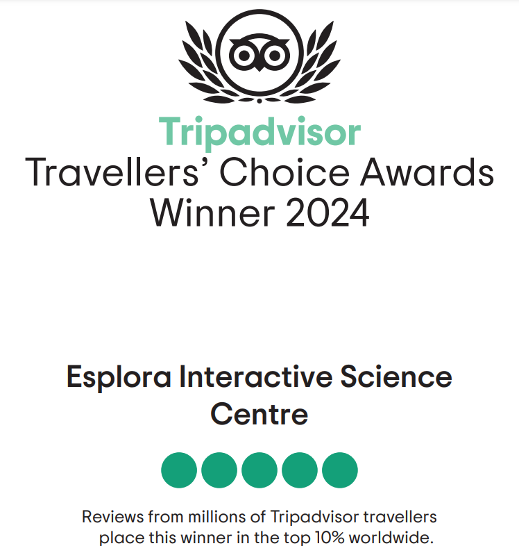 Tripadvisor Travellers’ Choice Award Certificate