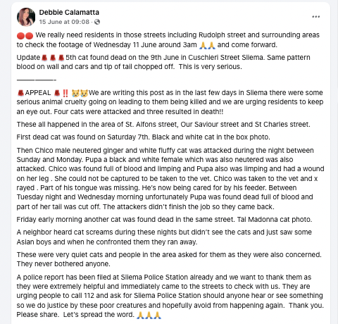 The post was shared on Malta Pet Adoption Group on Facebook
