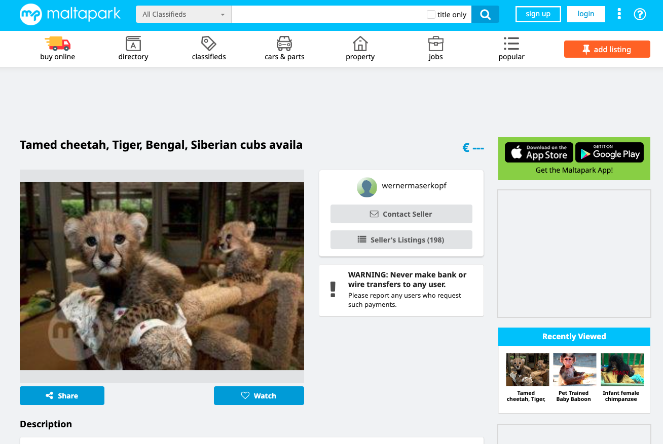 User wernermaserkopf is also selling big cats on Maltapark