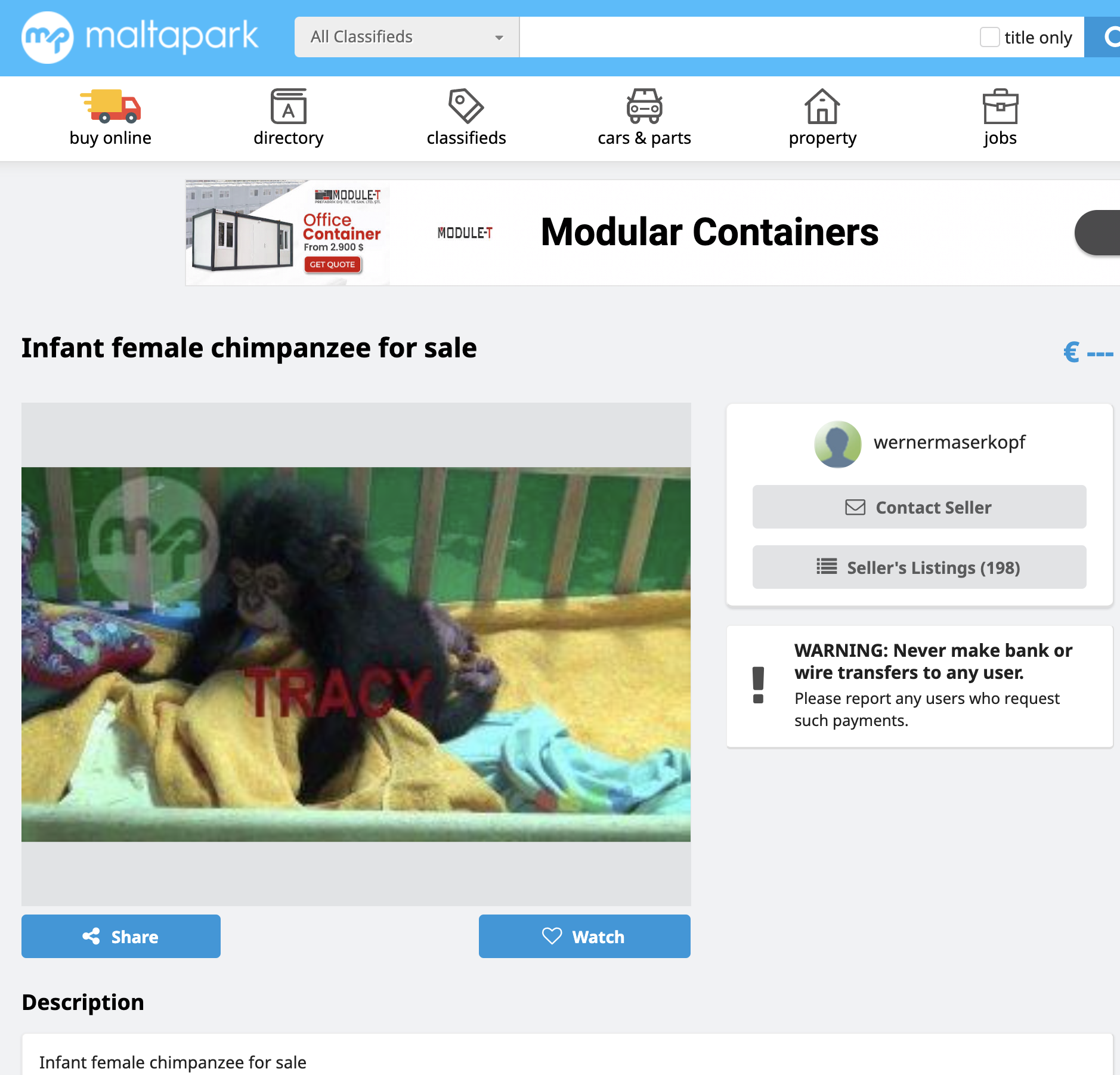 The infant chimpanzee is being illegally advertised on Maltapark