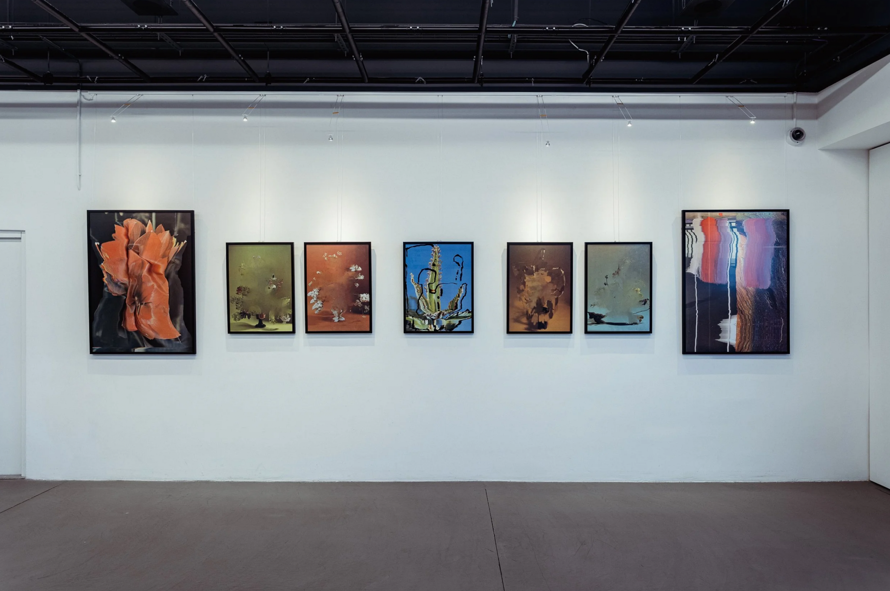New art space launches with exhibition by South African artist Nico Krijno