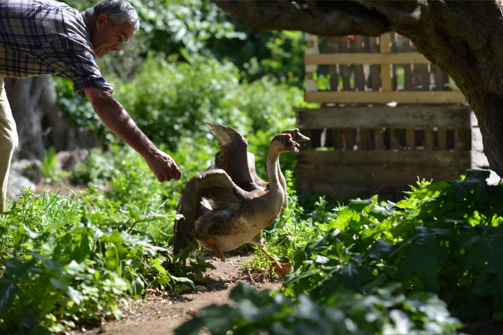 Consumers are becoming more concerned about where their food is coming from and how it has been grown or reared