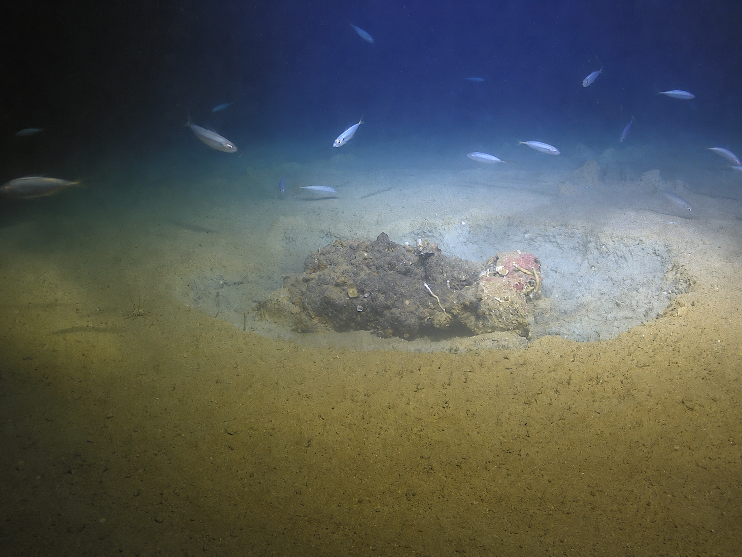 Specialised offshore teams removed 117 unexploded wartime items, most of them dating back to the Second World War (Photo: ICM)