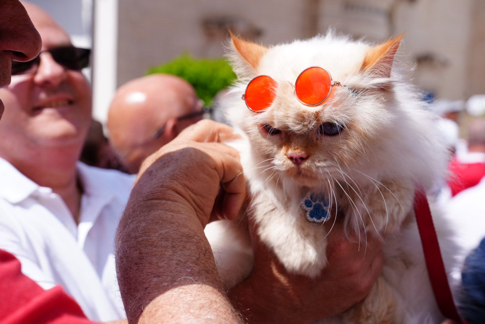 (Photo: Daniel Tihn/MaltaToday)