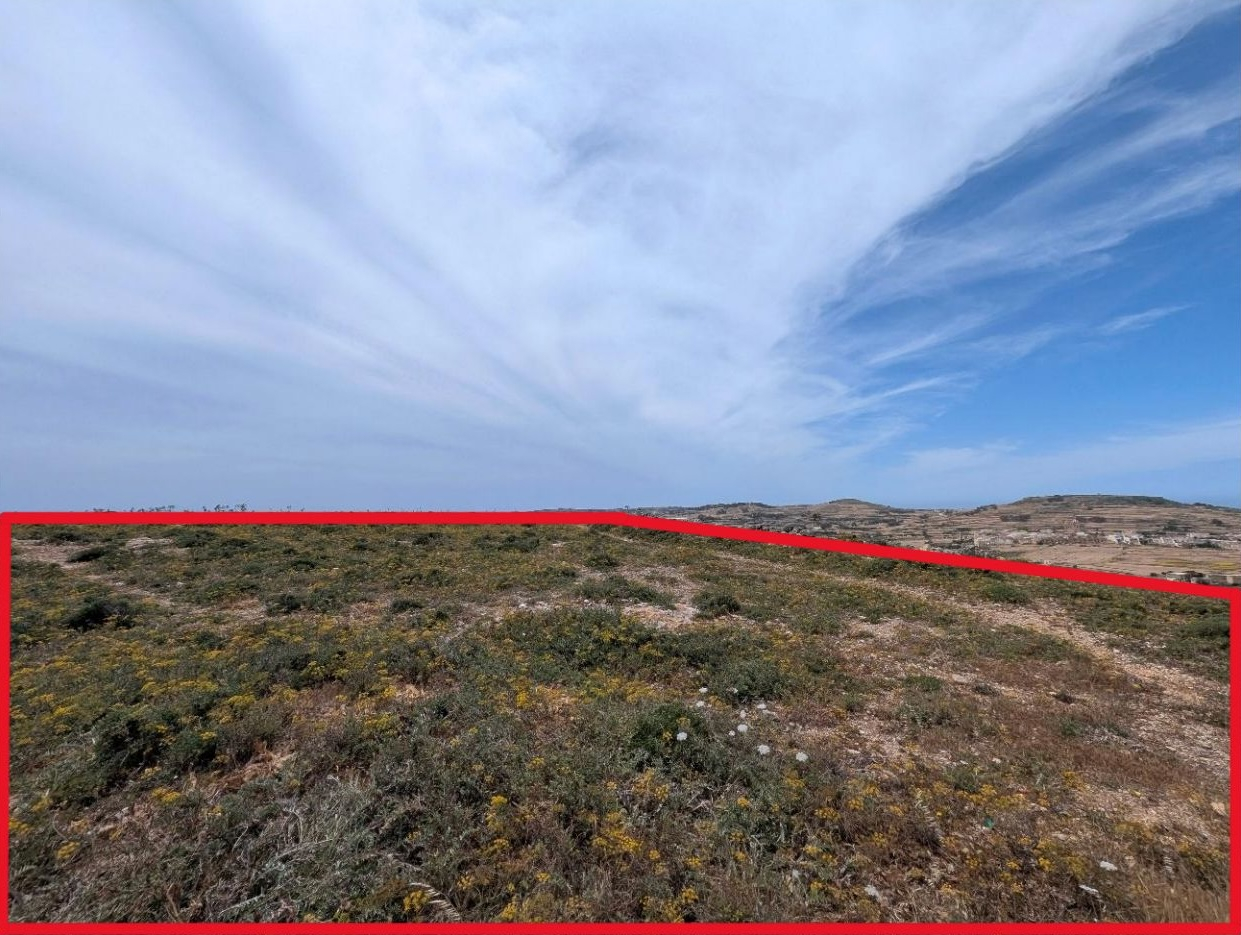 Site of the proposed solar farm development 