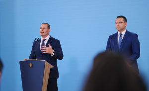 Government sought €488m from Steward and lost