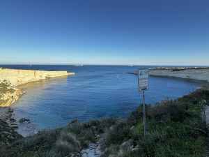 Invasive pearl oysters act as ‘living sensors’ of Malta’s warming seas
