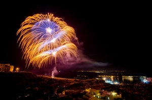 ‘More studies should take place on fireworks perchlorate effects’