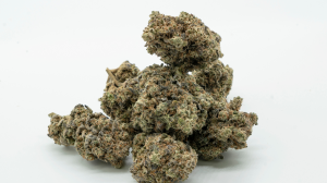 Austin Mallia found guilty by 7–2 jury verdict in cannabis trafficking case