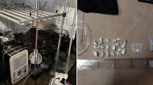 Police arrest four men in separate drug-related operations