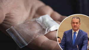 Malta is ‘bursting with cocaine,' Fenech Adami tells parliament