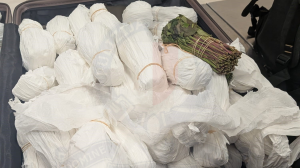 Police arrest man after finding 19kg of khat in his luggage