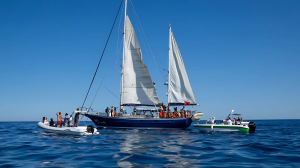 Greta Thunberg, French MEP among those on aid vessel intercepted by Israel