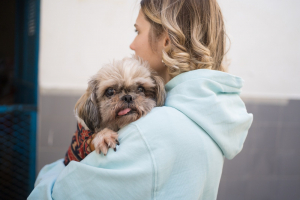 Papaya Ltd teams up with Malta’s animal welfare community to support new pet adopters