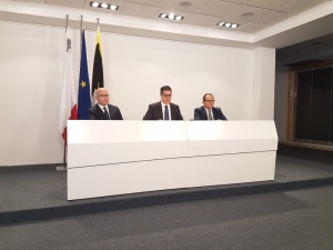 Don't wait for constitutional reform to implement Venice Commission recommendations, Delia tells government