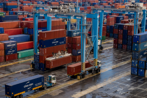 Court revives challenge to hereditary port worker licences, says case should await EU ruling