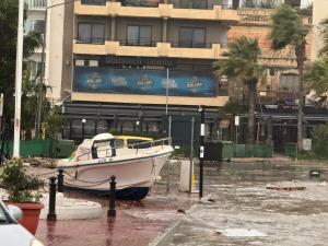 WATCH | Government in talks with businesses over Storm Harry damage compensation