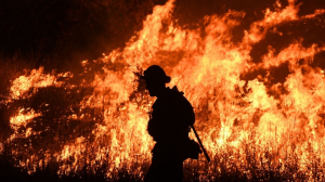 Spain wildfire claims 11 lives as heatwave fuels blazes across southern Europe