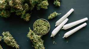 Hoteliers' lobby group wants review of cannabis legislation