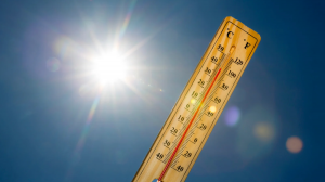 Health authorities issue heat safety advice for upcoming heatwave
