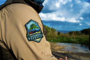 From environmental rangers to nature stewards