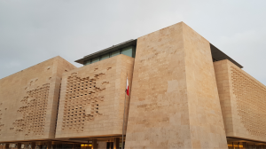 Borg blasts government's motion aimed at holding a debate to condemn PN