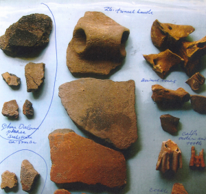 Superintendence investigating ‘heaps’ denounced by Dutch archeologist