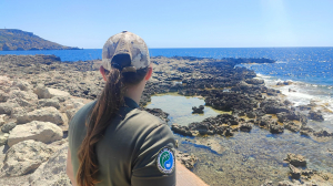 Rangers stop monitoring Ċirkewwa Marine Park after exclusion from management agreement