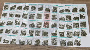 Għaxaq raid: 20-year-old remanded in custody over alleged drug trafficking of 110 sachets