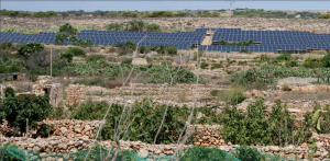 Danish Village owners want solar farm on Mellieha land