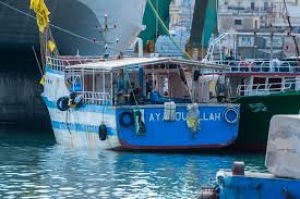 Malta secures action against 21 vessels for illegal lampuki fishing