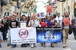 Our MEPs should say no to genetically modified crops | Emily A. Francis