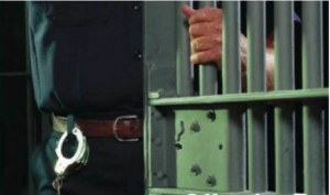 Thief jailed for 40 months after late plea change
