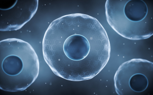 IVF reform: Progress achieved should never become an excuse to stand still