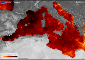 Swimming in hot water: Mediterranean Sea experiencing ongoing heatwave