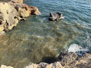 PN says government removed protected status for marine zone after sewage treatment failure