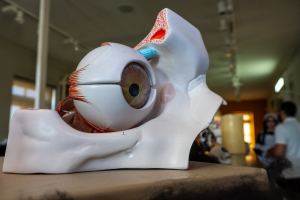 Haunted hospital at Esplora