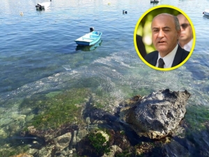 Environment Minister confirms sea slime is from fish farms, inspections underway