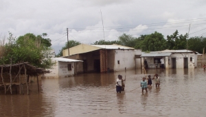 Floods in Malawi and Mozambique kill scores
