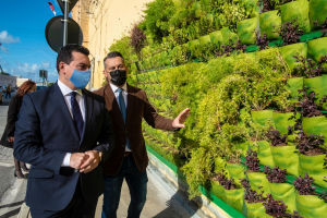 Now you see it, now you don’t: Paola green wall does a Houdini
