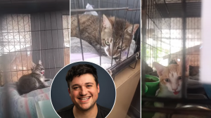 James Ryder raises €25,000 for animal shelters in eight-hour fundraiser
