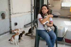 WATCH | Romina Frendo: ‘We have a cat abandonment crisis, and government needs to step in’