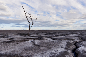 Malta faces 10 more dry days a year