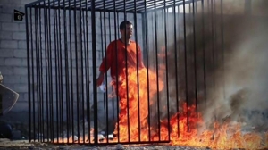 Updated | Iran condemns execution of Jordanian pilot