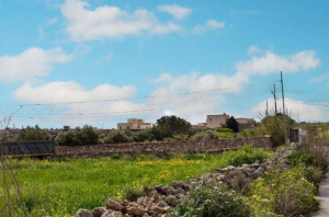 PA case officer recommends homes on disused mushroom farm in Tas-Salib