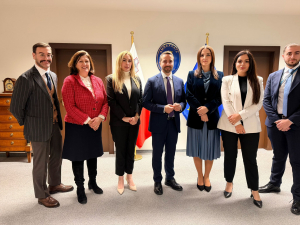 Maltese parliamentary delegation attends the 25th OSCE Winter Meeting