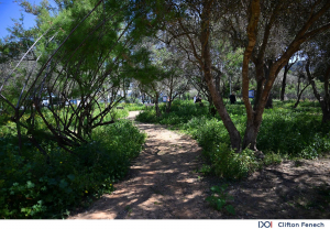 New green space opens in St Pauls Bay