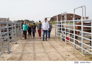 New facillities set up to provide retired sport horses with care and accommodation
