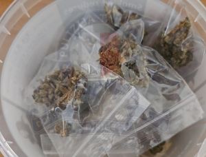 Three arrested in Gozo raid over illegal cultivation of cannabis plants